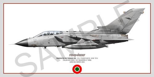 Panavia tornado squadron - squadron, print