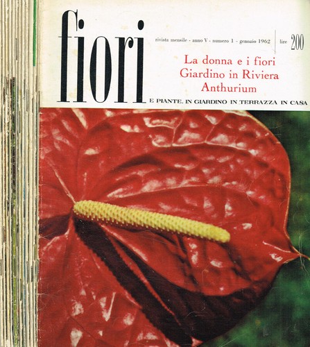Fiori piante giardino in - e,