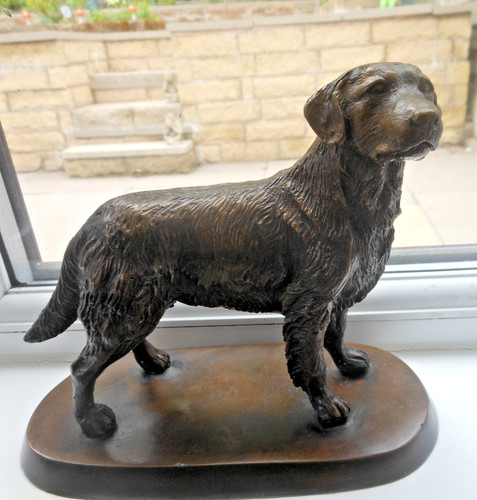Cane labrador bronzo in - cane,