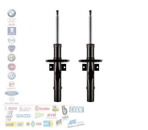 Coppia ammortizzatori - 2,