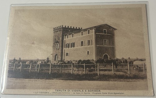Cartolina rara vignale - cartolina,