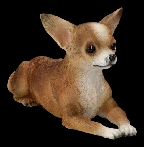 Statua cane chihuahua - cane,