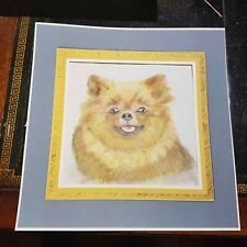 Acquarello inglese Vintage 1950 cani: Volpino di Pomerania