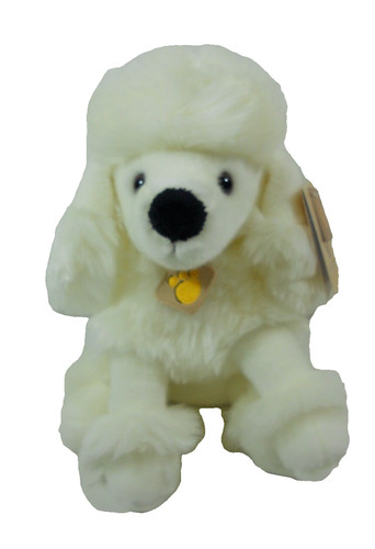 Cane barboncino bianco - ,