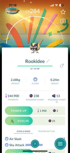 Pokémon shiny rookidee - pokémon,