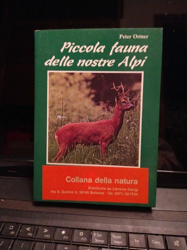 Piccola fauna delle nostre - piccola,