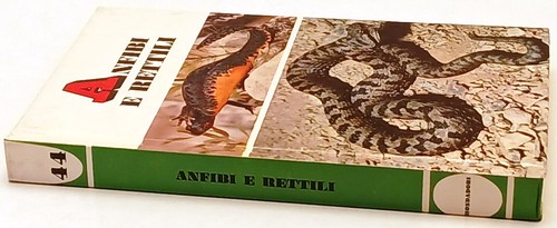 Piccole guide mondadori - mondadori,