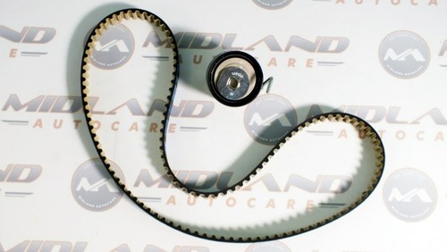 Kit cinghia ecoboost - cinghia, ford
