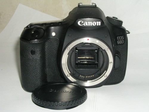 Canon eos 60d solo - eos,