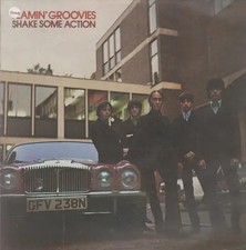 Flamin' Groovies Shake Some