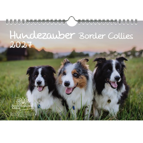 Magia per cani - border, collie