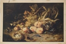 RARA STAMPA VINTAGE FOTOCROMIA