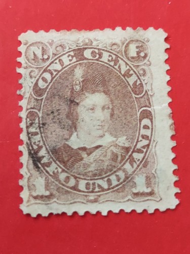 Newfoundland 1880 prince of - newfoundland, 1880.prince