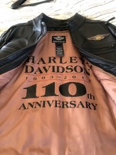 HARLEY DAVIDSON 110TH
