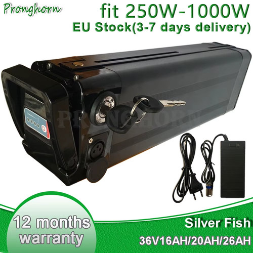 250w 500w 1000w 36v - 1000w, batteria