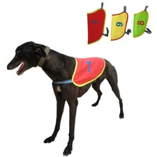 Tuta da corsa cane calda
