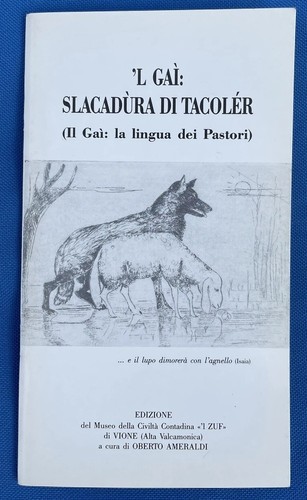 Dizionarietto gaì la - dizionarietto, gaì,