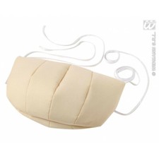 PANCIONE" per Babbo Natale