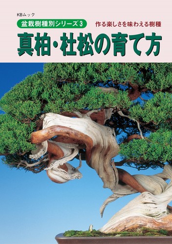 How grow juniper - grow, trees
