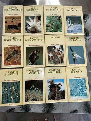 Enciclopedia libri della - i,
