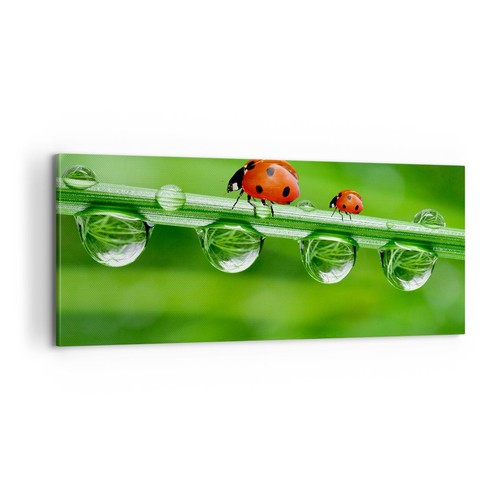 Quadro tela 100x40cm - su,