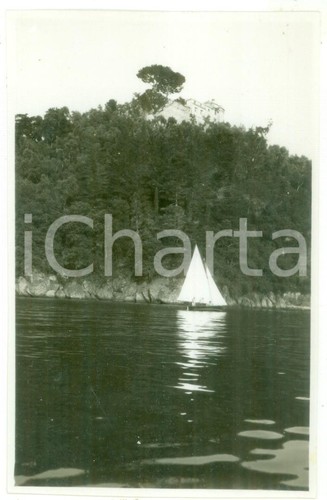 1930 portofino veduta - 1930,