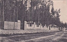 ETIOPIA - Addis Abeba - Il Parco - Il Parco