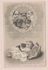 CARTOLINA 1903 14X9 BAMBINA