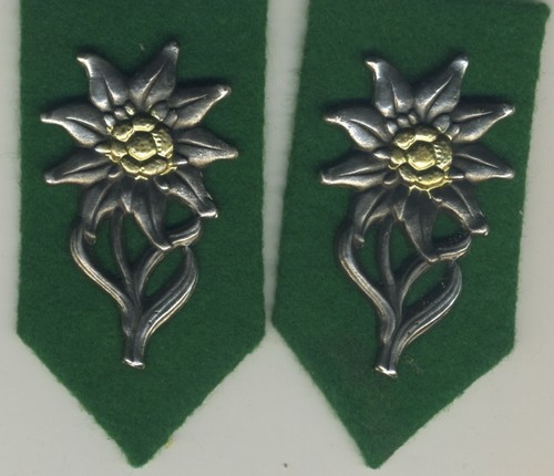 Coppia mostrine esercito - mostrine,