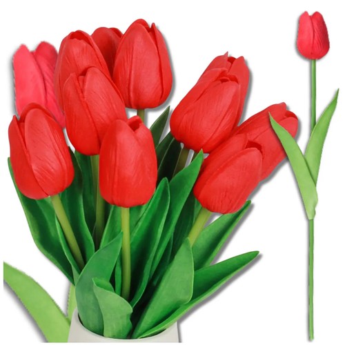 Edibazzar mazzo tulipani - mazzo,