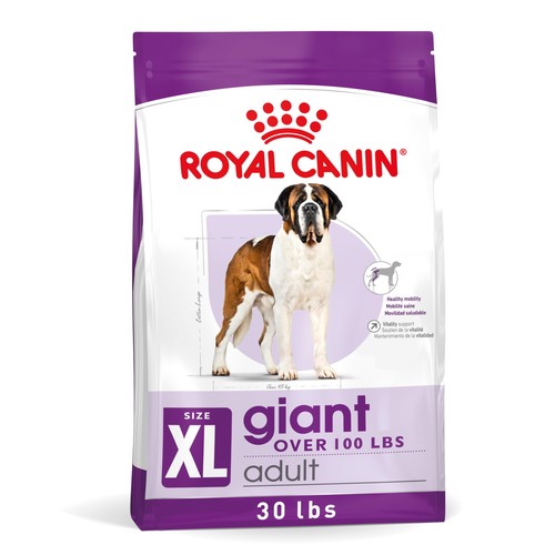 Royal canin cibo - cibo, gigante