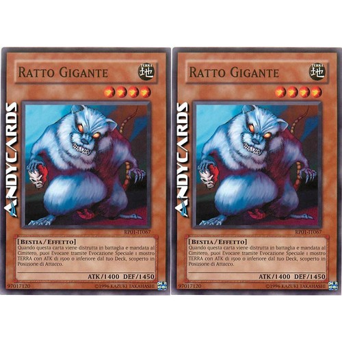 Ratto gigante giant - 2x, (giant