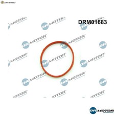 GUARNIZIONE BOCCHETTONE