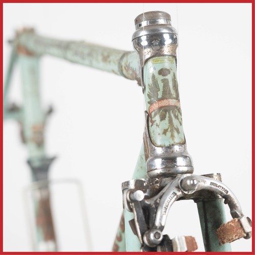 Bianchi campione del - bianchi,