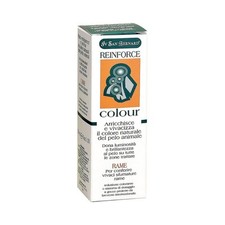 Iv san bernard reinforce rame