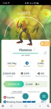 Pokemon Haxorus MOLTO