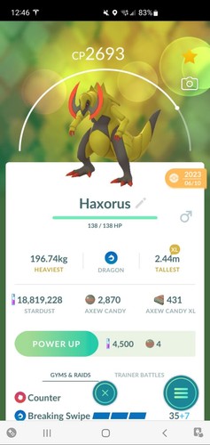 Pokemon haxorus molto - pokemon,