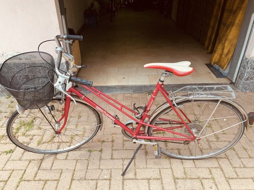 Bicicletta unisex swiss - unisex,