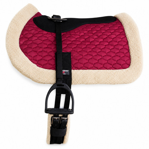 Cavallo inglese trapuntato