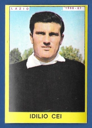 Figurine calciatori panini - figurine,