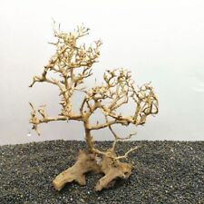 Driftwood Albero Acquario
