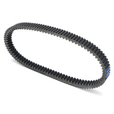 Cinghia trasmissione V-belt