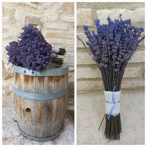 Mazzo lavanda essiccata - di,