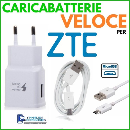 Caricabatterie veloce fast - veloce,