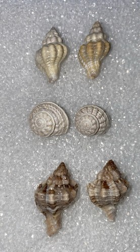 Orecchini perno tre - a,
