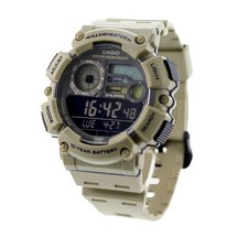 CASIO Classic WS-1500H-5BVDF