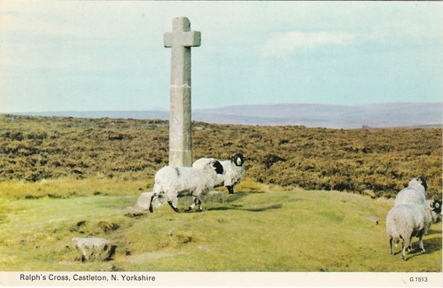 Ralph cross sheep - cross,