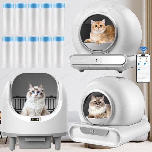 Toilette per gatti xxl - toilette,