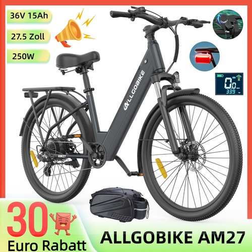 Bicicletta elettrica