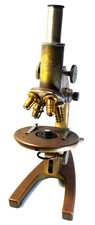 EXC+++ 1890 Carl Zeiss Jena Mikroskop Microscope Microscopio Original N.206548